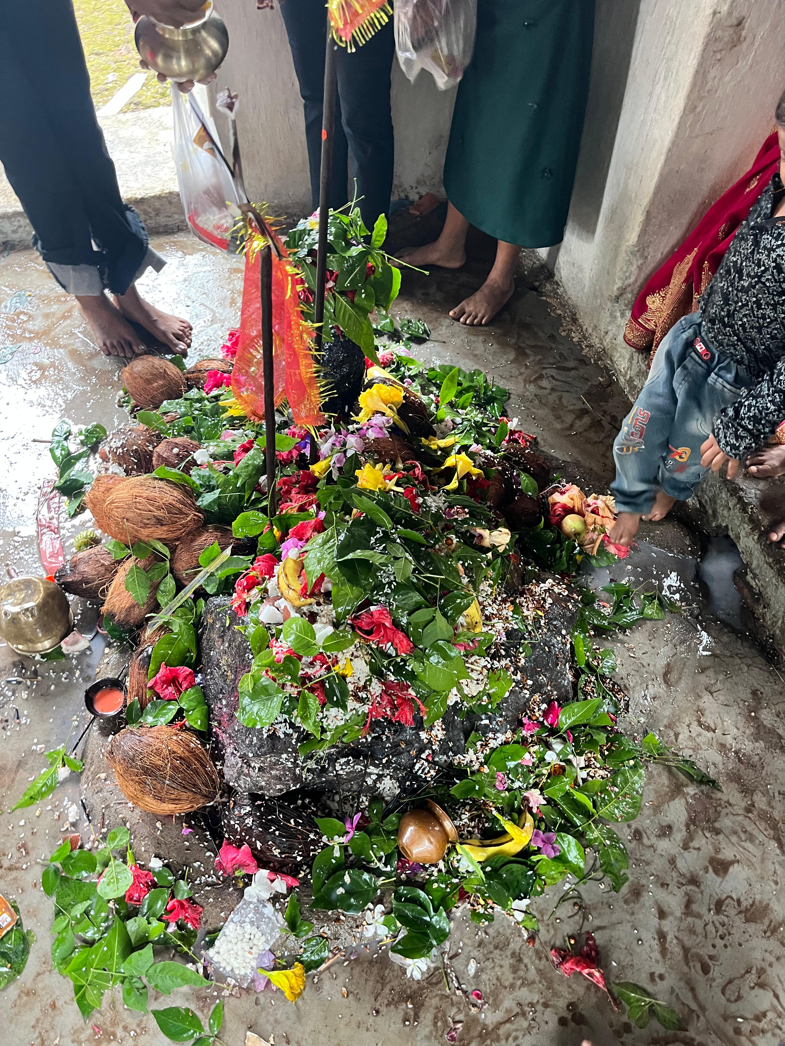 नाग पंचमी पर लुण्ड्रा कुरो पहाड़ में हज़ारों श्रद्धालुओं ने की पूजा अर्चना दिन प्रतिदिन बढ़ रही श्रद्धालुओं की संख्या बुनियादी सुविधाओं का है अभाव 