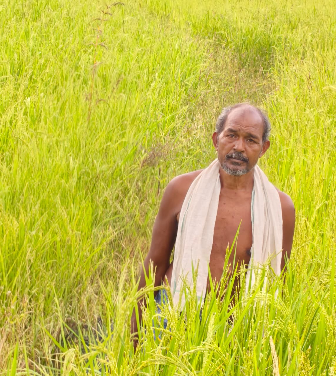 कृषक उन्नति योजना से शंकर प्रसाद को मिलेगा 45 हजार रुपये का लाभ